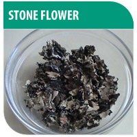 DM International - Product - Herbal- Stone Flower