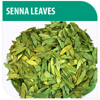 DM International - Product - Herbal- Senna Leaves