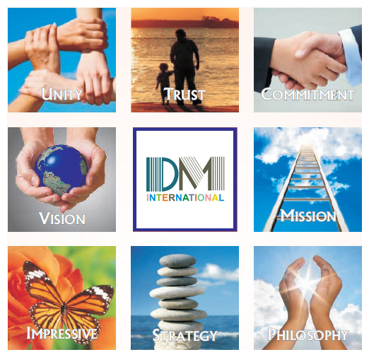 DM International Vision